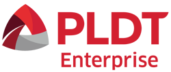 PLDT_Enterprise_Logo (1)